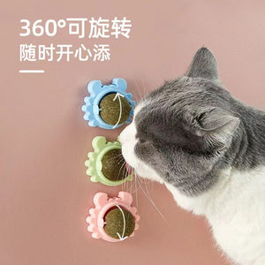 Haustier Katzenspielzeug Katzenminze Ball Katze Minze Katzenspiel Saubere Zähne