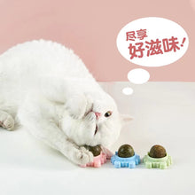 Load image into Gallery viewer, Pet Cat Toys Catnip Ball Cat Mint Cats Game Clean Teeth
