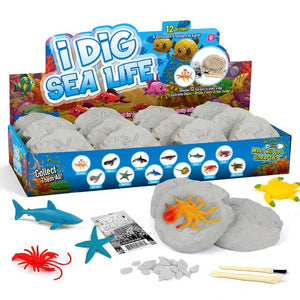 Kit de excavación, arqueología, ciencia, tallo, regalo, modelo de 12 Uds., juguete para regalo educativo para niños